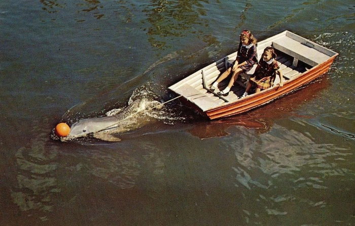 Floridaland - Vintage Postcard (newer photo)